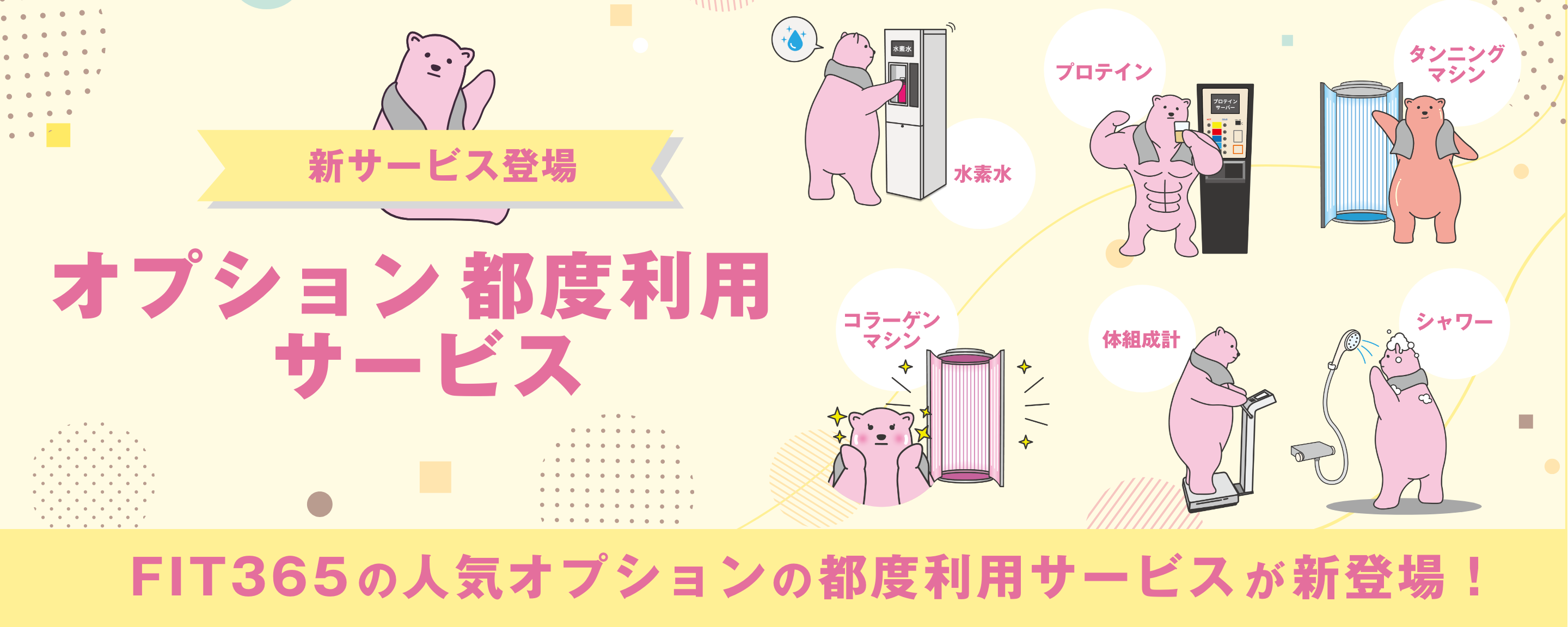 オプション都度利用サービス