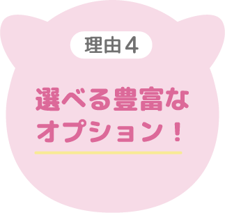 選べる豊富なオプション