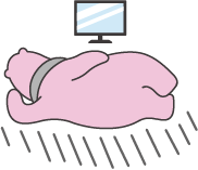 イラスト01