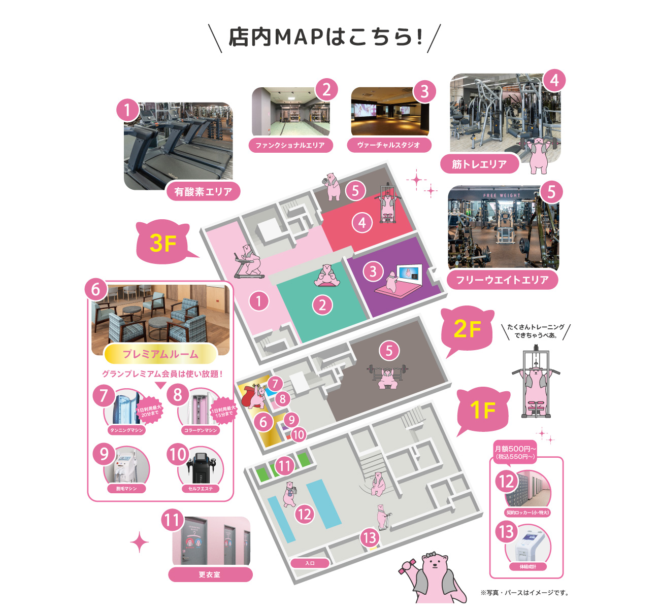 店内MAP