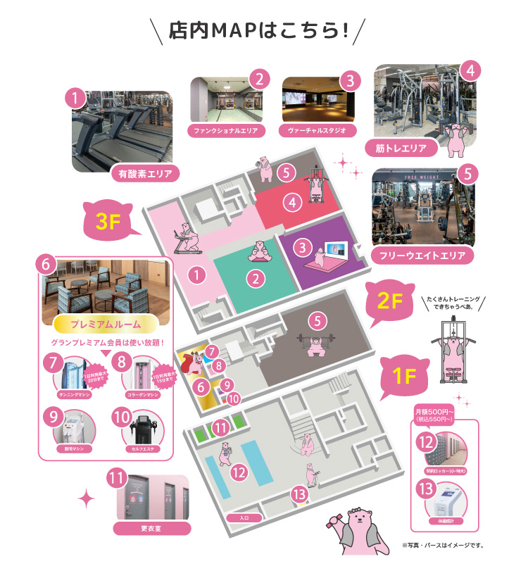 店内MAP