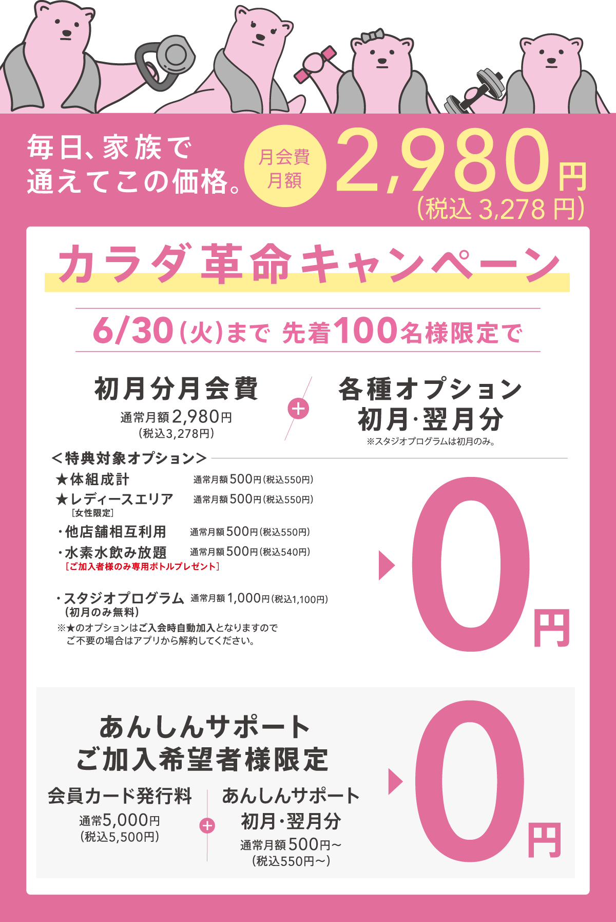 キャンペーン